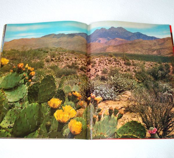 Arizona Highways Magazine 2 Issues 1963, 1967 Clearance #5
