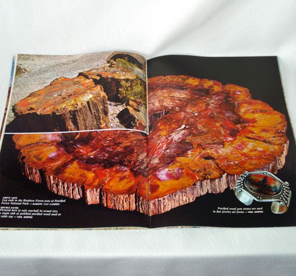 Arizona Highways Magazine June 1975 First American Art Clearance #5