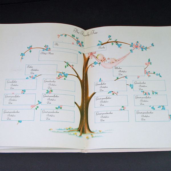 Baby's Own Story 1941 Birth Record Book Unused in Box #5