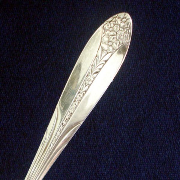 Princess Royal National Silver Silverplate Cold Meat Fork Clearance #2