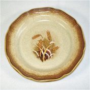 Pair Mikasa Whole Wheat Granola Salad Plates Clearance